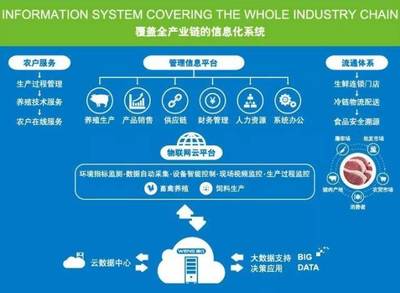 温氏携手金蝶成立互联网科技公司 布局互联网数据服务的战略深意